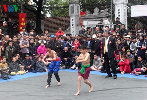 Tournoi de lutte au village de Mai Dong - ảnh 1